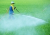 水和剤などの農薬類