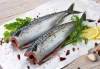 サバ、その他の魚類